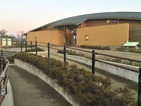 Medium_img_3614 (2)